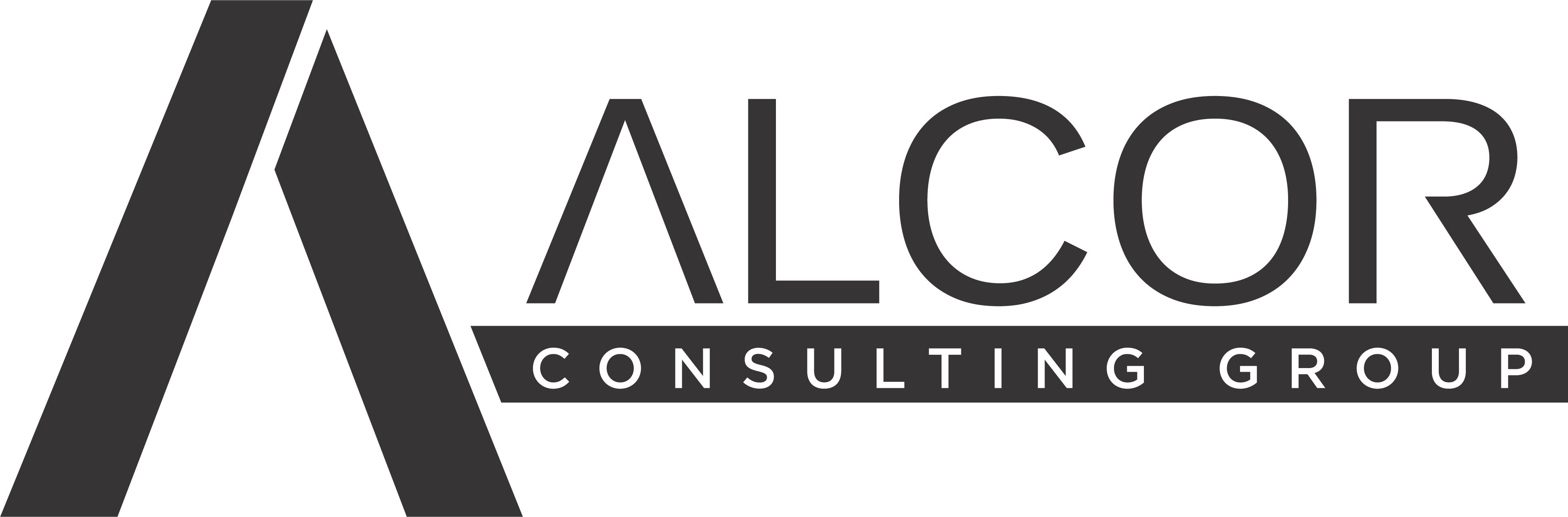  Avada Accountant Demo